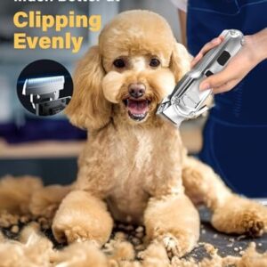 oneisall Dog Clippers Low Noise, 2-Speed Quiet Dog Grooming Kit Rechargeable Cordless Pet Hair Clipper Trimmer Shaver for Small and Large Dogs Cats Animals (Gold)